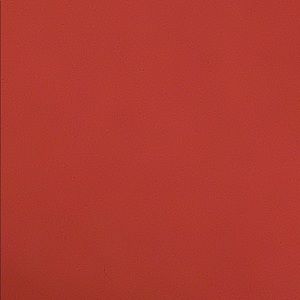 Meet your Posher, Arya